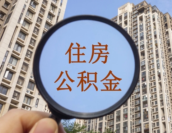 阳谷退休后查不到公积金明细了吗（退休后公积金查询不到原因）